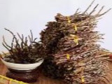 铁皮石斛鲜条