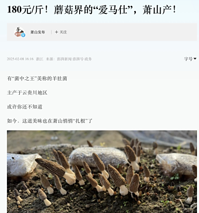 澎湃新闻：180元/斤！蘑菇界的“爱马仕”，萧山产！